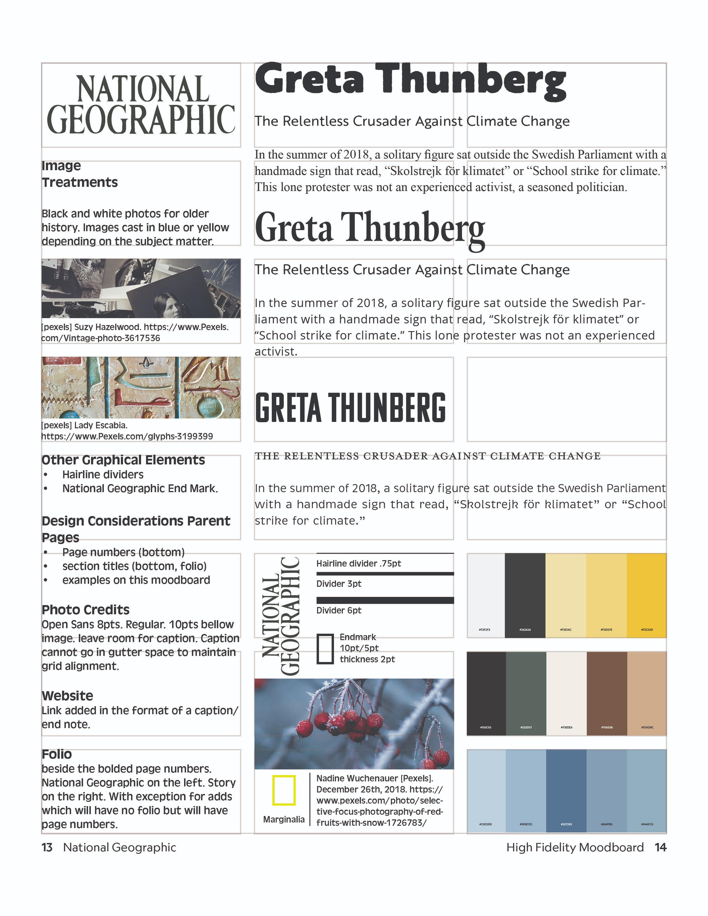 Moodboard for what elements would be used throughout the entire publication.
